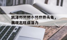 江南体育-凯泽斯劳滕小将崭露头角，展现出旺盛潜力
