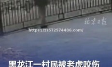 江南体育-森林狼遭遇雷霆反扑，遗憾失利！
