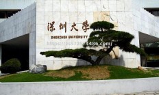 江南体育-贝内文托惊险过关，实力不容小觑