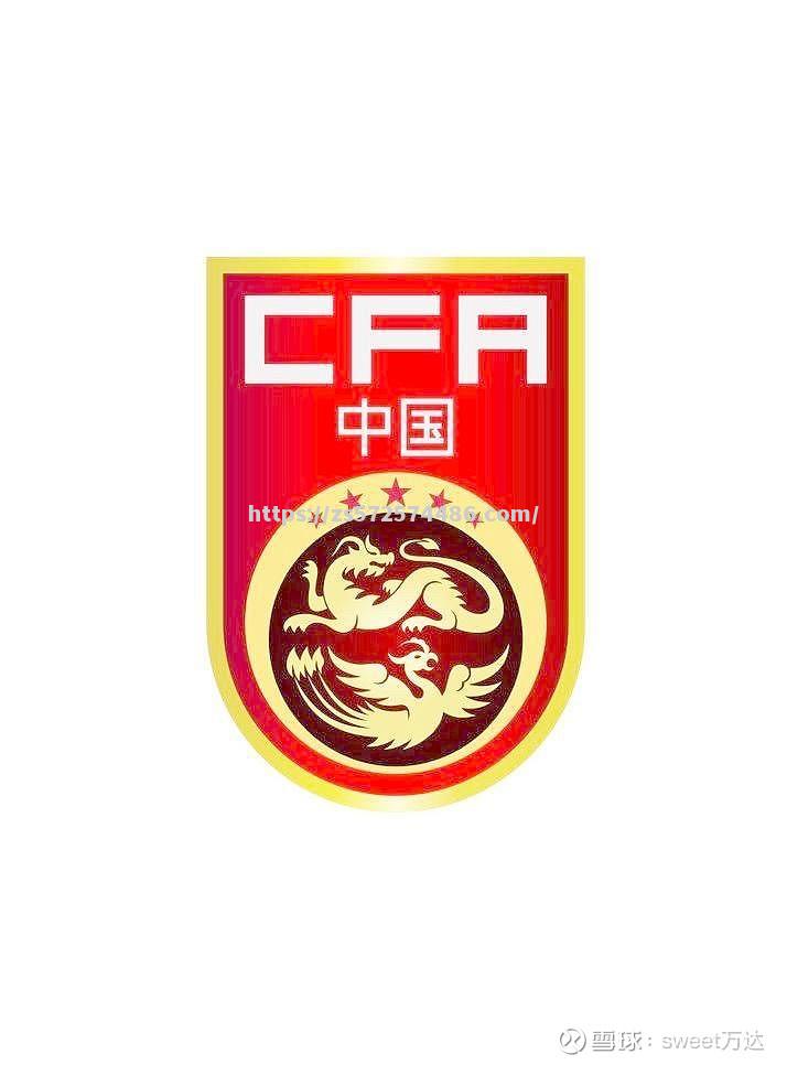 湖南队实力不济，再次败下阵来