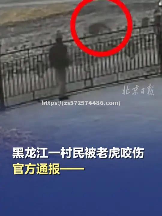 森林狼遭遇雷霆反扑，遗憾失利！
